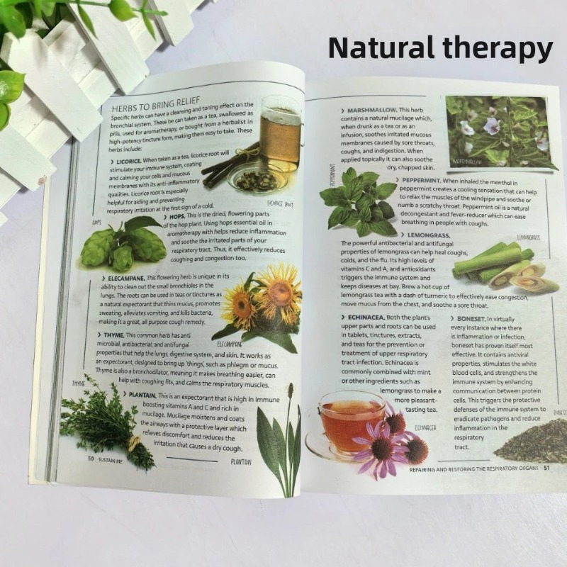 Sustain Me Barbara O'Neill A H - Health Wellness Lifestyle review and price