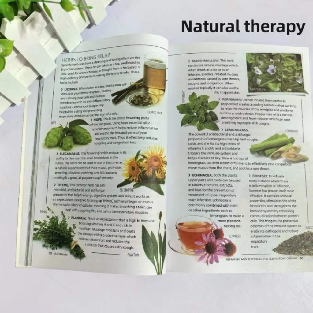 Sustain Me Barbara O'Neill A H - Health Wellness Lifestyle review and price